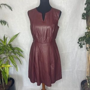 The Limited leather sleeveless dress